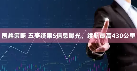 国鑫策略 五菱缤果S信息曝光，续航最高430公里