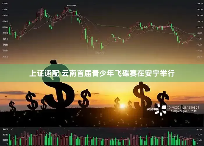 上证速配 云南首届青少年飞碟赛在安宁举行
