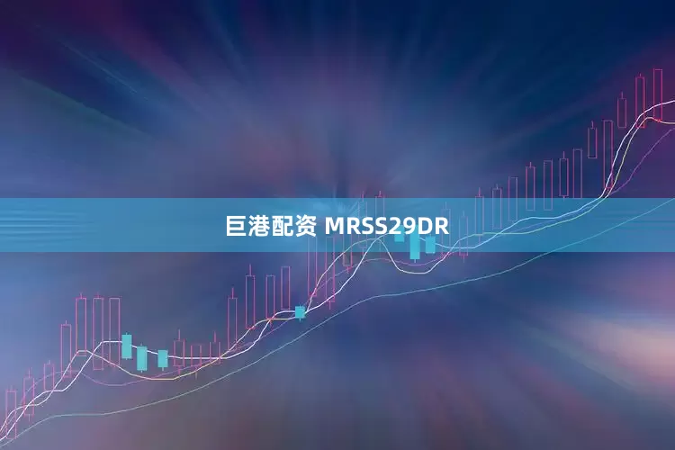 巨港配资 MRSS29DR