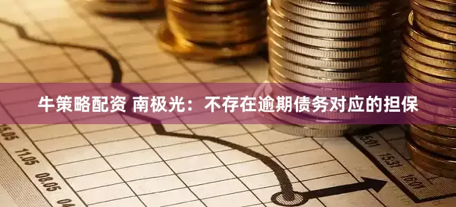 牛策略配资 南极光：不存在逾期债务对应的担保