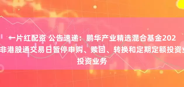 一片红配资 公告速递:鹏华产业精选混合基金2026年非港股通交易日暂停申购、赎回、转换和定期定额投资业务